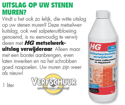 HG Metselwerkuitslag verwijderaar 1L