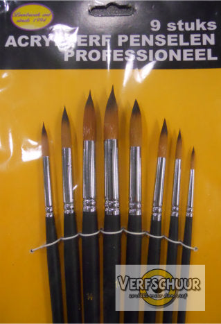 8 stuks acrylverf penselen professioneel